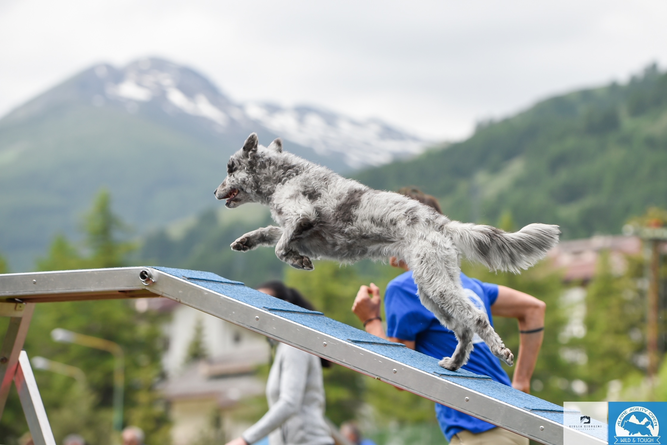 Campo Agility