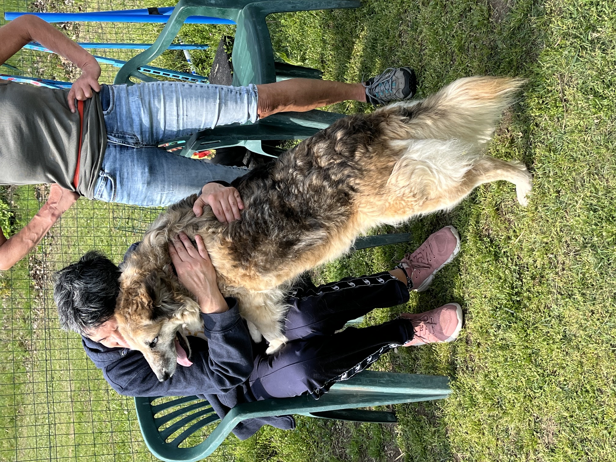 Pet Therapy 2